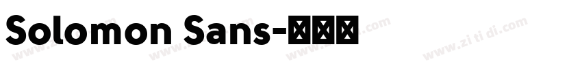 Solomon Sans字体转换
